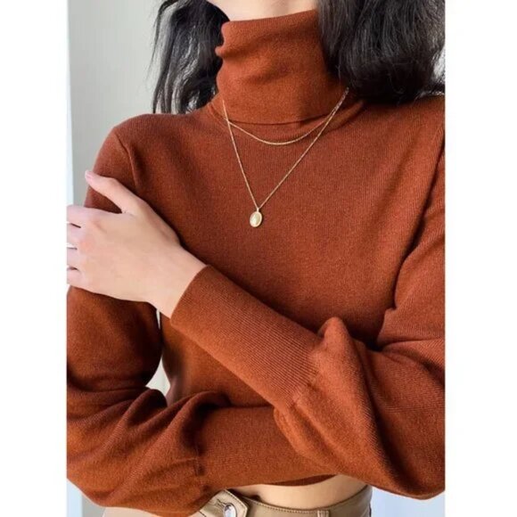 Aritzia Wilfred Rebecca Wool Turtleneck Sweater - Picture 1 of 11